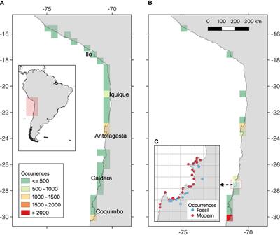 Deep anthropogenic impacts on benthic marine diversity of the Humboldt Current Marine Ecosystem: Insights from a Quaternary fossil baseline